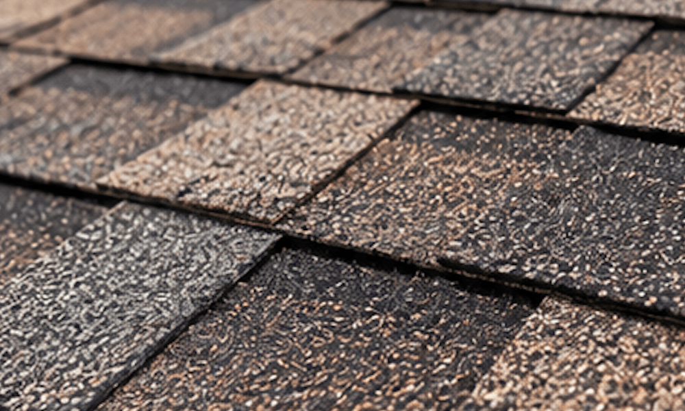 Florida roof designer and specialty shingles